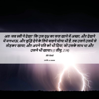 Picture 06 - उत्पत्ति 3:6 HINIRV - अतः जब स्त्री ने - Bible Verse Picture