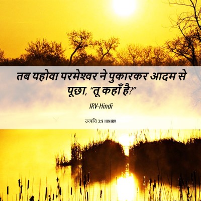 Picture 06 - उत्पत्ति 3:9 HINIRV - तब यहोवा - Bible Verse Picture