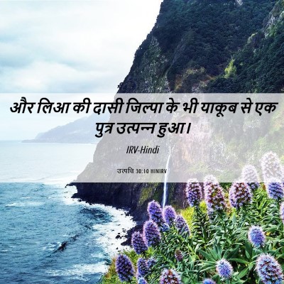 Picture 06 - उत्पत्ति 30:10 HINIRV - और लिआ की दासी - Bible Verse Picture