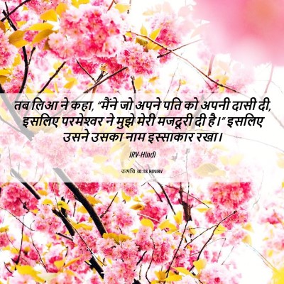 Picture 06 - उत्पत्ति 30:18 HINIRV - तब लिआ ने कहा, - Bible Verse Picture
