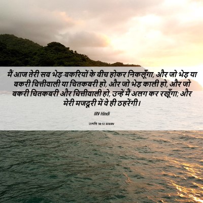 Picture 06 - उत्पत्ति 30:32 HINIRV - मैं आज तेरी सब - Bible Verse Picture