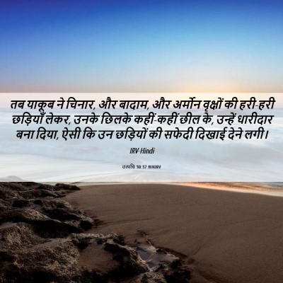 Picture 06 - उत्पत्ति 30:37 HINIRV - तब याकूब ने चिनार, - Bible Verse Picture