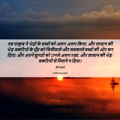 Picture 06 - उत्पत्ति 30:40 HINIRV - तब याकूब ने भेड़ों - Bible Verse Picture