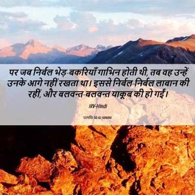 Picture 06 - उत्पत्ति 30:42 HINIRV - पर जब निर्बल - Bible Verse Picture