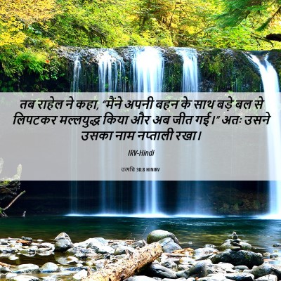 Picture 06 - उत्पत्ति 30:8 HINIRV - तब राहेल ने कहा, - Bible Verse Picture