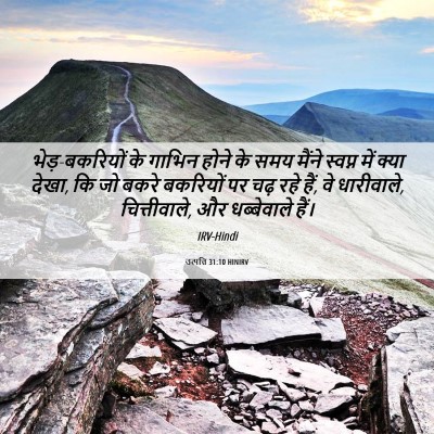 Picture 06 - उत्पत्ति 31:10 HINIRV - भेड़-बकरियों के - Bible Verse Picture