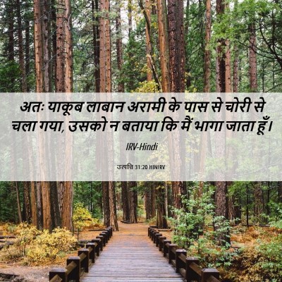 Picture 06 - उत्पत्ति 31:20 HINIRV - अतः याकूब लाबान - Bible Verse Picture
