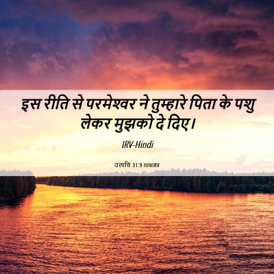 Picture 06 - उत्पत्ति 31:9 HINIRV - इस रीति से - Bible Verse Picture
