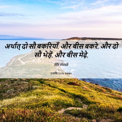 Picture 06 - उत्पत्ति 32:14 HINIRV - अर्थात् दो सौ - Bible Verse Picture
