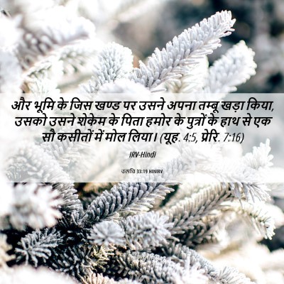 Picture 06 - उत्पत्ति 33:19 HINIRV - और भूमि के जिस खण्ड - Bible Verse Picture
