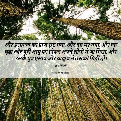 Picture 06 - उत्पत्ति 35:29 HINIRV - और इसहाक का प्राण - Bible Verse Picture