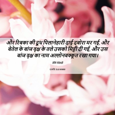 Picture 06 - उत्पत्ति 35:8 HINIRV - और रिबका की दूध - Bible Verse Picture