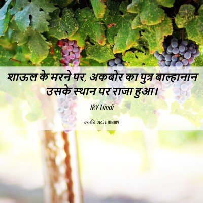 Picture 06 - उत्पत्ति 36:38 HINIRV - शाऊल के मरने पर, - Bible Verse Picture