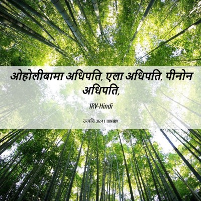 Picture 06 - उत्पत्ति 36:41 HINIRV - ओहोलीबामा अधिपति, - Bible Verse Picture