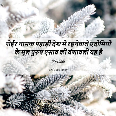 Picture 06 - उत्पत्ति 36:9 HINIRV - सेईर नामक पहाड़ी - Bible Verse Picture