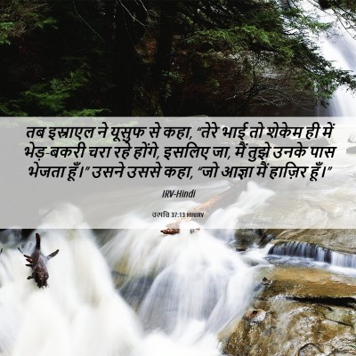 Picture 06 - उत्पत्ति 37:13 HINIRV - तब इस्राएल ने - Bible Verse Picture