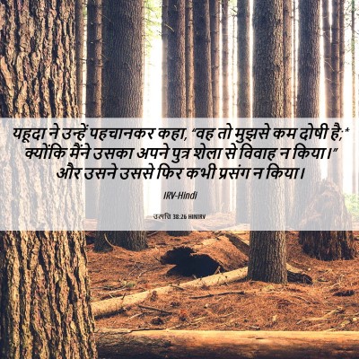 Picture 06 - उत्पत्ति 38:26 HINIRV - यहूदा ने उन्हें - Bible Verse Picture