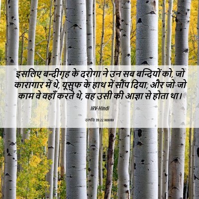 Picture 06 - उत्पत्ति 39:22 HINIRV - इसलिए बन्दीगृह के - Bible Verse Picture