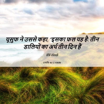 Picture 06 - उत्पत्ति 40:12 HINIRV - यूसुफ ने उससे कहा, - Bible Verse Picture