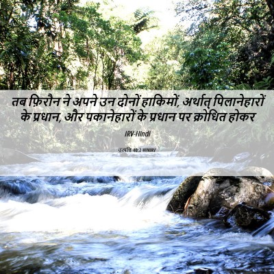 Picture 06 - उत्पत्ति 40:2 HINIRV - तब फ़िरौन ने अपने - Bible Verse Picture