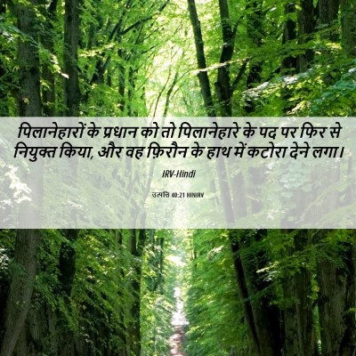 Picture 06 - उत्पत्ति 40:21 HINIRV - पिलानेहारों के - Bible Verse Picture
