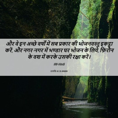 Picture 06 - उत्पत्ति 41:35 HINIRV - और वे इन अच्छे - Bible Verse Picture
