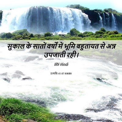 Picture 06 - उत्पत्ति 41:47 HINIRV - सुकाल के सातों - Bible Verse Picture