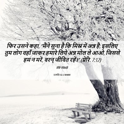 Picture 06 - उत्पत्ति 42:2 HINIRV - फिर उसने कहा, - Bible Verse Picture