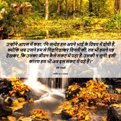 Picture 06 - उत्पत्ति 42:21 HINIRV - उन्होंने आपस में - Bible Verse Picture