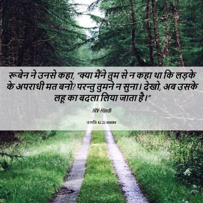 Picture 06 - उत्पत्ति 42:22 HINIRV - रूबेन ने उनसे कहा, - Bible Verse Picture