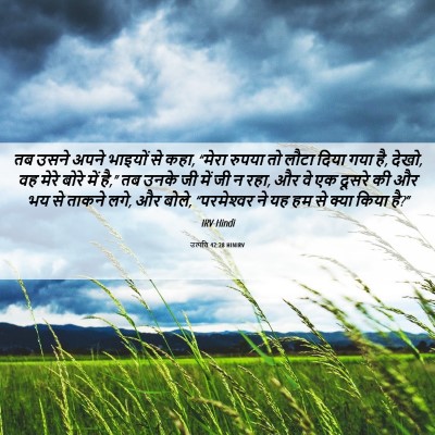 Picture 06 - उत्पत्ति 42:28 HINIRV - तब उसने अपने - Bible Verse Picture