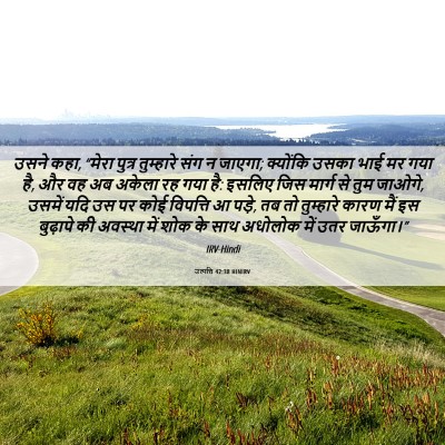 Picture 06 - उत्पत्ति 42:38 HINIRV - उसने कहा, “मेरा - Bible Verse Picture