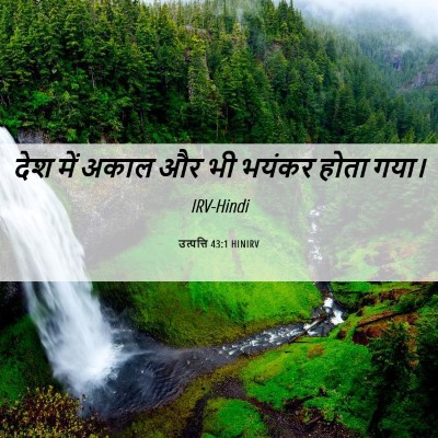 Picture 06 - उत्पत्ति 43:1 HINIRV - देश में अकाल और भी - Bible Verse Picture
