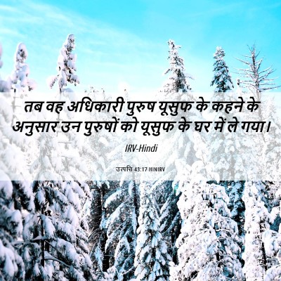 Picture 06 - उत्पत्ति 43:17 HINIRV - तब वह अधिकारी - Bible Verse Picture