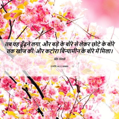 Picture 06 - उत्पत्ति 44:12 HINIRV - तब वह ढूँढ़ने लगा, - Bible Verse Picture