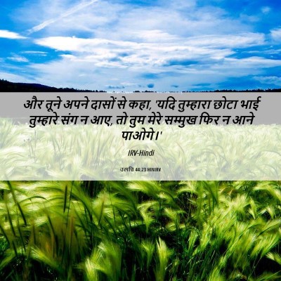 Picture 06 - उत्पत्ति 44:23 HINIRV - और तूने अपने दासों - Bible Verse Picture