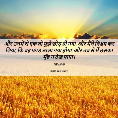 Picture 06 - उत्पत्ति 44:28 HINIRV - और उनमें से एक तो - Bible Verse Picture