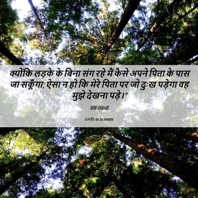 Picture 06 - उत्पत्ति 44:34 HINIRV - क्योंकि लड़के के - Bible Verse Picture