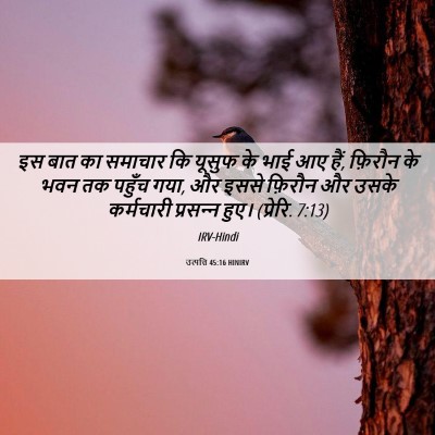 Picture 06 - उत्पत्ति 45:16 HINIRV - इस बात का समाचार कि - Bible Verse Picture