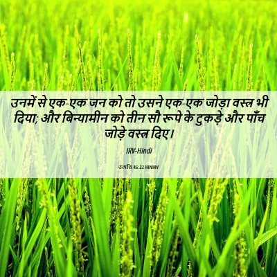 Picture 06 - उत्पत्ति 45:22 HINIRV - उनमें से एक-एक जन - Bible Verse Picture