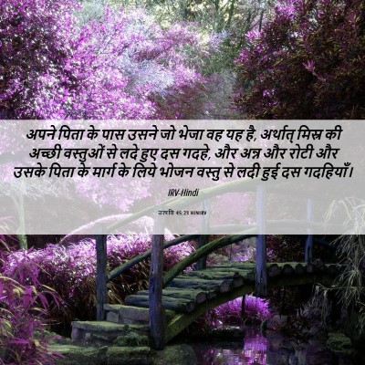 Picture 06 - उत्पत्ति 45:23 HINIRV - अपने पिता के पास - Bible Verse Picture