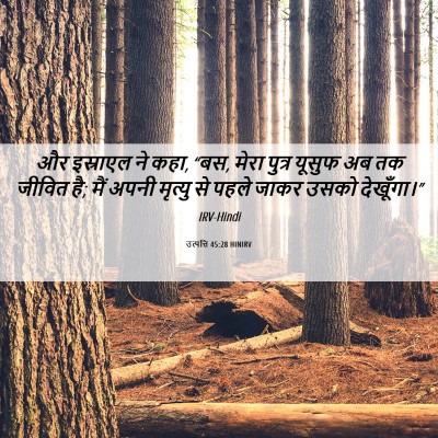 Picture 06 - उत्पत्ति 45:28 HINIRV - और इस्राएल ने कहा, - Bible Verse Picture