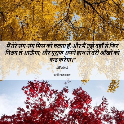 Picture 06 - उत्पत्ति 46:4 HINIRV - मैं तेरे संग-संग - Bible Verse Picture