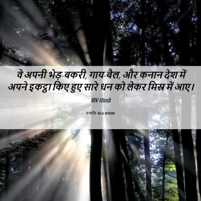 Picture 06 - उत्पत्ति 46:6 HINIRV - वे अपनी भेड़-बकरी, - Bible Verse Picture