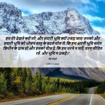 Picture 06 - उत्पत्ति 47:19 HINIRV - हम तेरे देखते - Bible Verse Picture