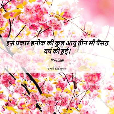 Picture 06 - उत्पत्ति 5:23 HINIRV - इस प्रकार हनोक की - Bible Verse Picture