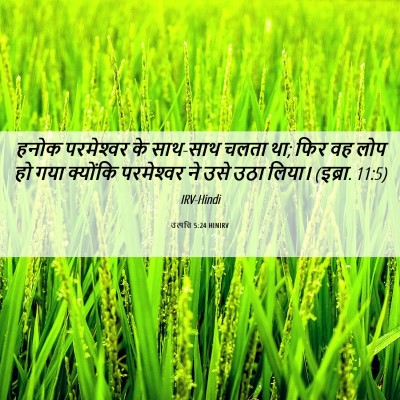 Picture 06 - उत्पत्ति 5:24 HINIRV - हनोक परमेश्‍वर के - Bible Verse Picture