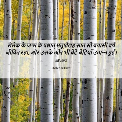 Picture 06 - उत्पत्ति 5:26 HINIRV - लेमेक के जन्म के - Bible Verse Picture