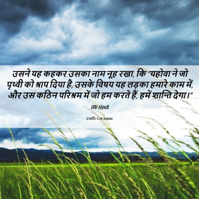 Picture 06 - उत्पत्ति 5:29 HINIRV - उसने यह कहकर उसका - Bible Verse Picture