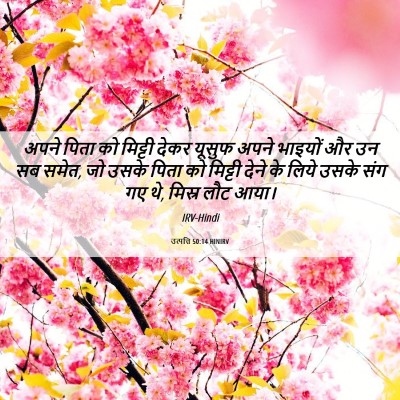 Picture 06 - उत्पत्ति 50:14 HINIRV - अपने पिता को - Bible Verse Picture